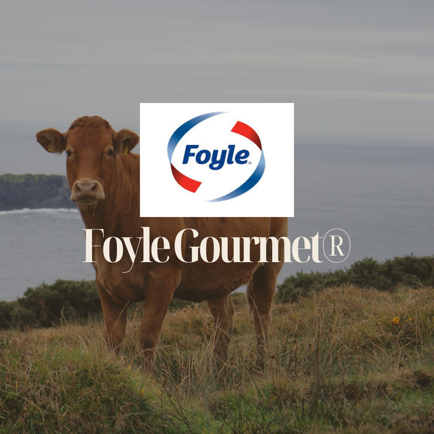 IRL - Foyle Gourmet Beef